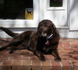 This is how we will all remember Jasper
