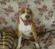 Axle