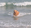 At the beach