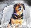 RIP Sweet Angel Baby Boy
