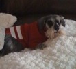  Gus Rosie and I will meet you at the Rainbow Bridge.