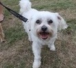 Yes! I love to walk!