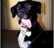 Mr. Jakes