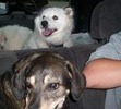 HAPPY HAPPY HAPPY - GOING TO THE MOUNTAINS!