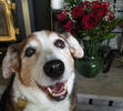 Ceilidh's photo shoot