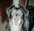 MY BIG BOY