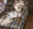 RELAXING WITH DEANNA