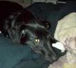 My sweet Bella