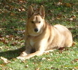 Our Beautiful Baby Girl