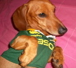 Our little spring bokkie