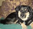 Our beloved baby, Travis