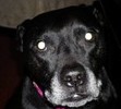 My pretty girl...
