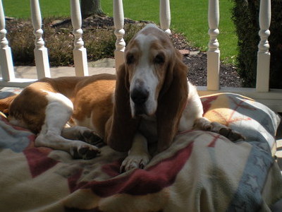 Laying in the sun on our front porch