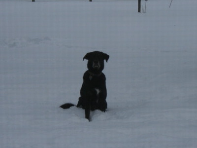 He loved the snow.