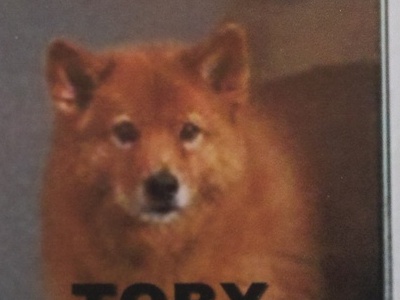 Toby six months ago.