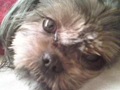 our baby girl