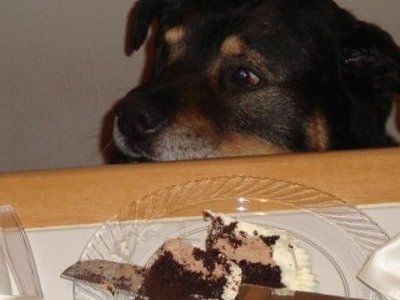 I want that cake!