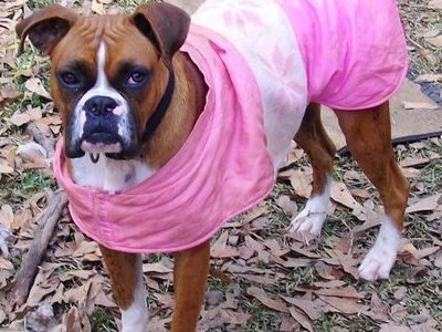 Pretty in pink..even though she pulled the carpet out of her house lol