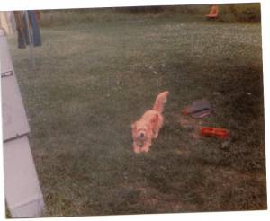 photo caption