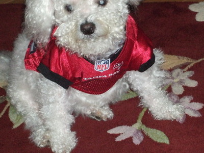 Go Bucs!