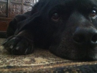 Charlie