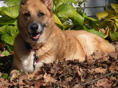 She loved the leaves in Fall