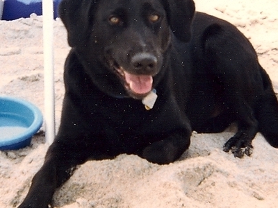 Sebastian at the beach