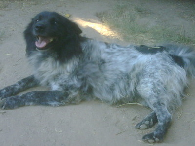 Outside on my property in the summertime