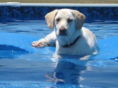 Oliver on 
