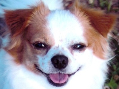 Such a beautiful smile