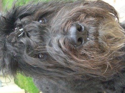 My Love!