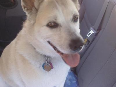 In the car on her way for a hike.