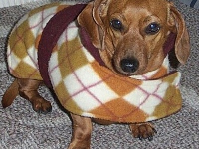 Our baby girl