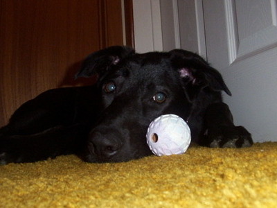 with her favourite toy