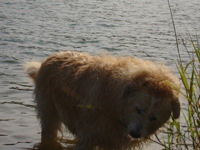 Cali playing on vacation 2008