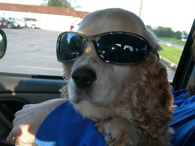 Going on a field trip