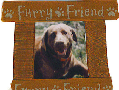 will never forget my brown furry friend, I always told her, 