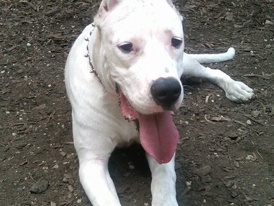 SKYLA AT THE PARK