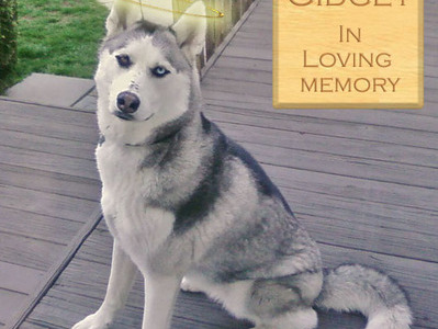 Godspeed my precious baby.