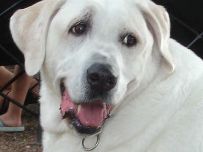 Happy Camper, Enchanted Rock, TX 2006