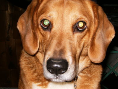 I'm so handsome!