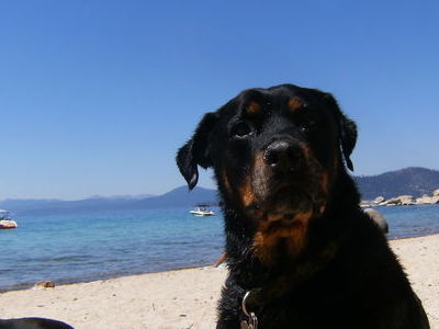 Hanging out on the Beach