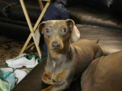MY BABY!!! IGGY!!!