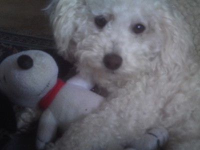 My baby and her Snoopy