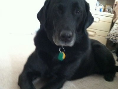 Loved crossing her paws