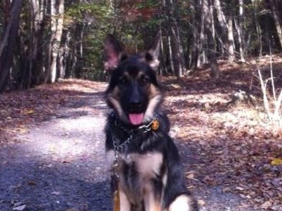 My beautiful Zion, at the mountains. 