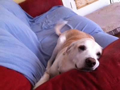 Wanna join me on the couch?