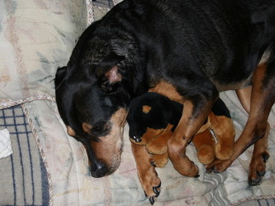 Sleeping with her Baby