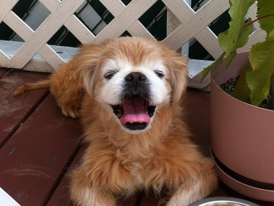 Relaxing on the deck enjoying the sun
