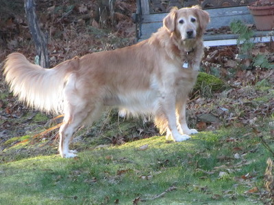 Roxy's Moment in the Sun